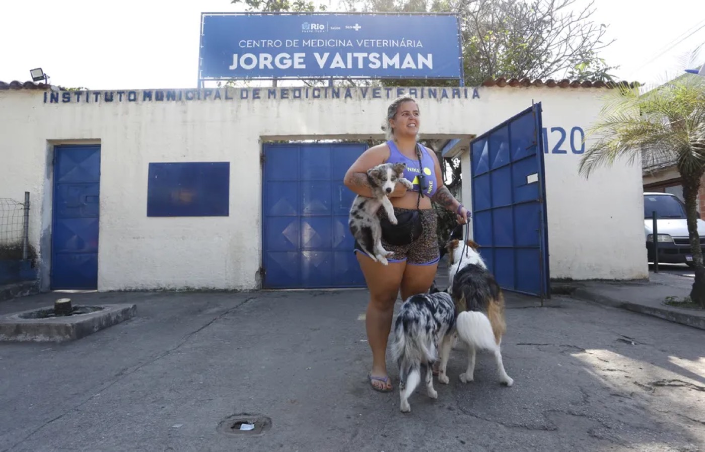 Cadastro de cães e gatos: Prefeitura do Rio tornará gratuita a implantação do chip no centro veterinário da Mangueira e vai ampliar postos de atendimento